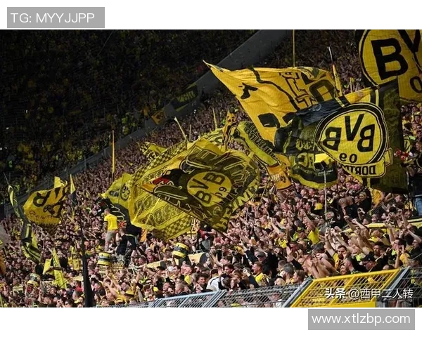 西甲精彩对决多特蒙德4-0大胜那不勒斯十大进球瞬间引爆全场热情